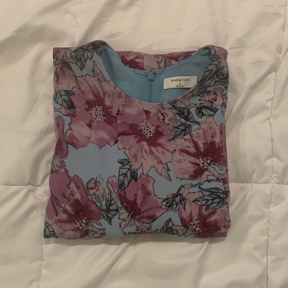 Babaton patricio dress